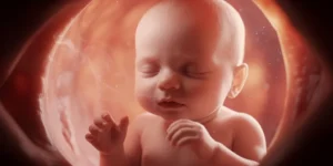 pourquoi bébé a le hoquet dans le ventre